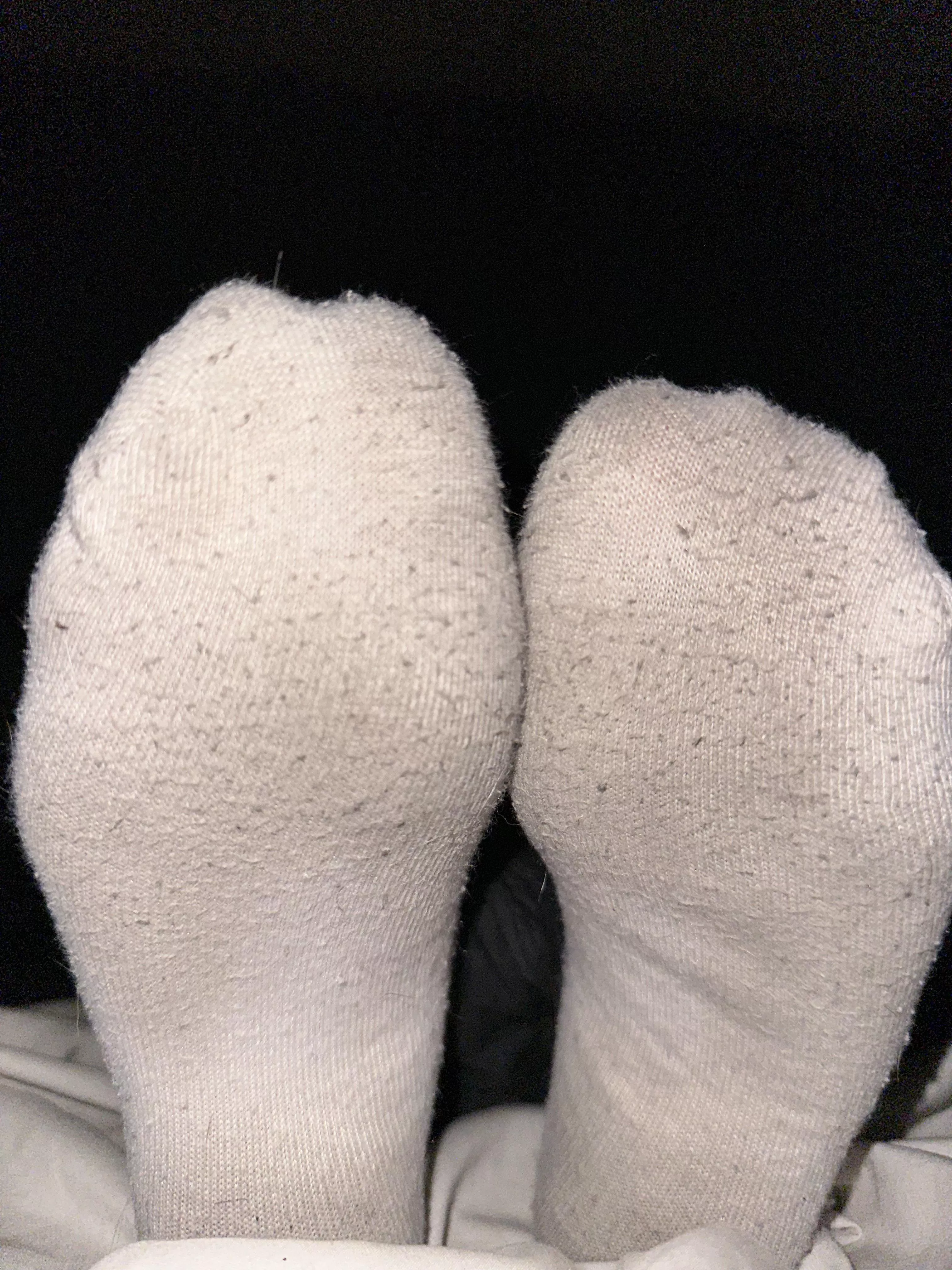Sniff my smelly dirty socks I know you want too