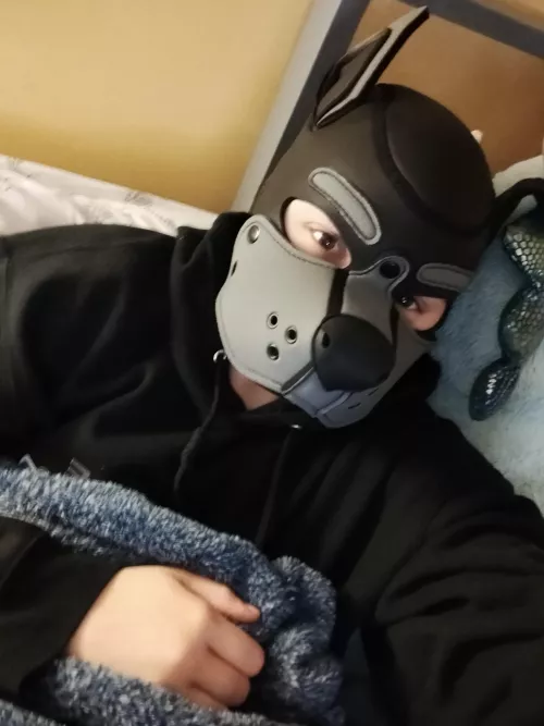 still pretty new with PupPlay but I got my first hood!!!!
