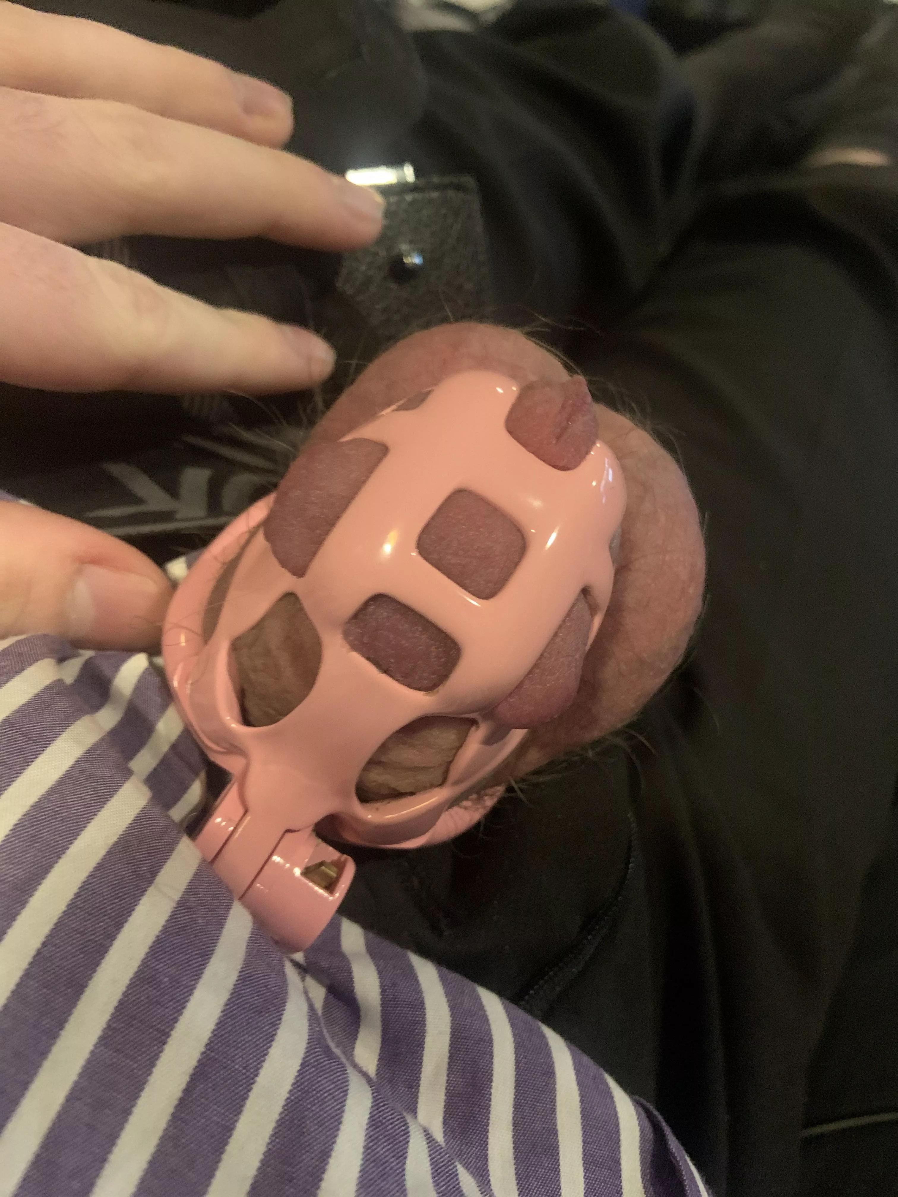 What should my chastity sentence be?