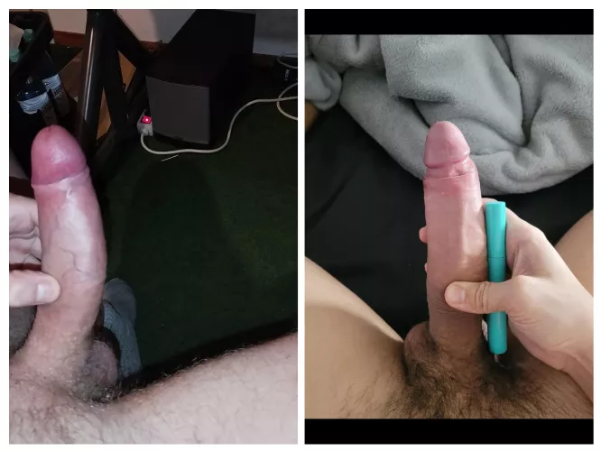which cock Is bigger & better?