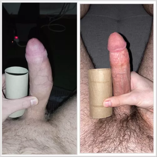 Which cock looks better? Why