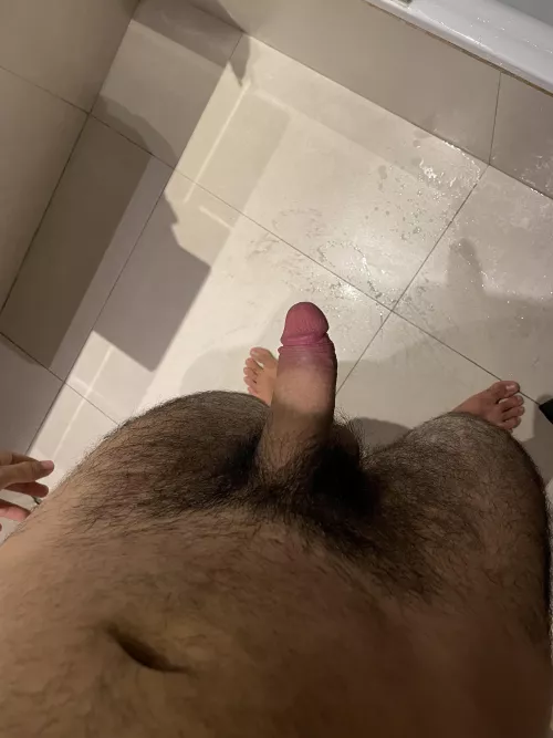 Would you like taste my bear dick