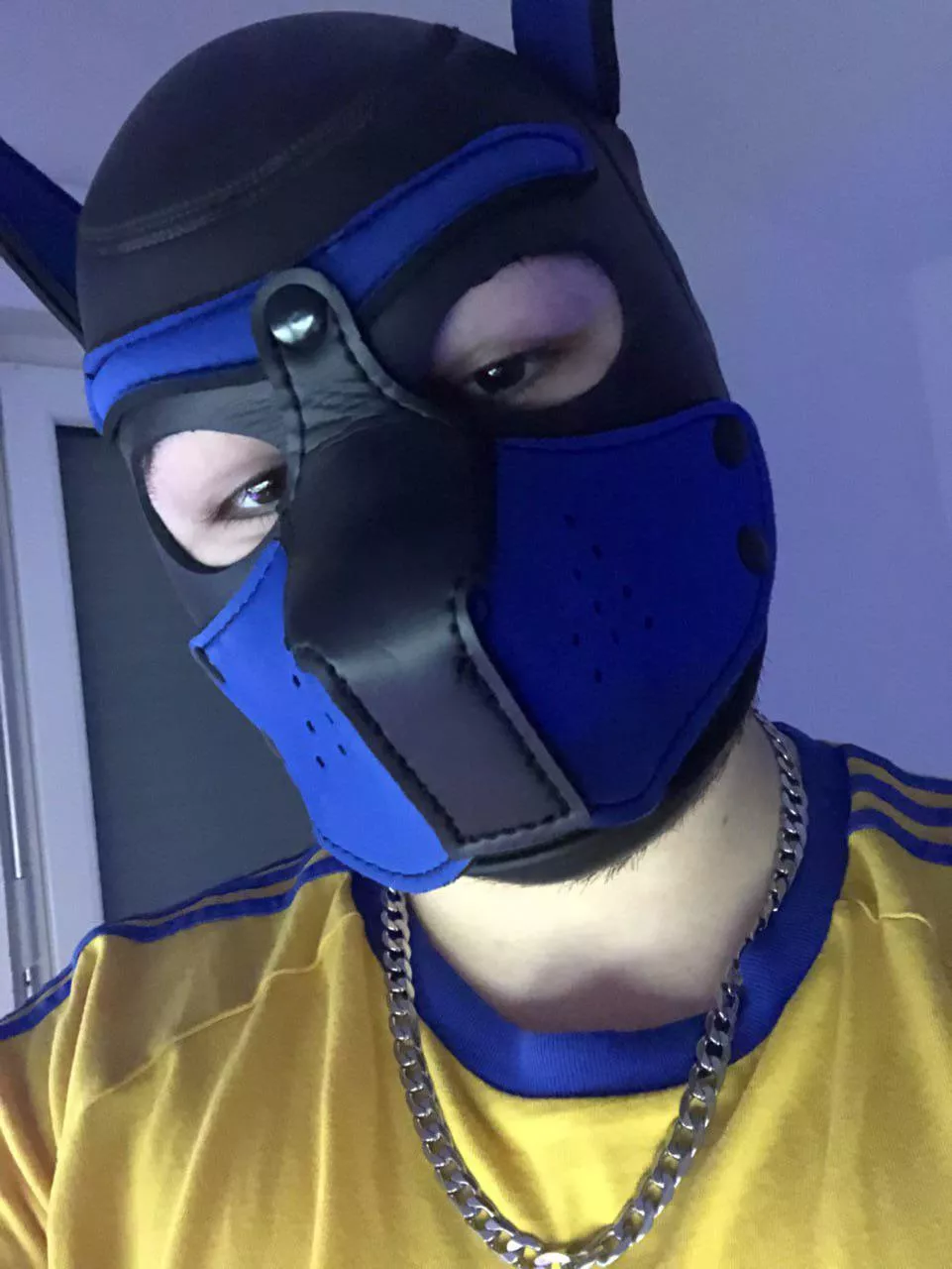 wraf~ hello! 23yo chub pup new to this. would love to experience with someone around my age. dm me