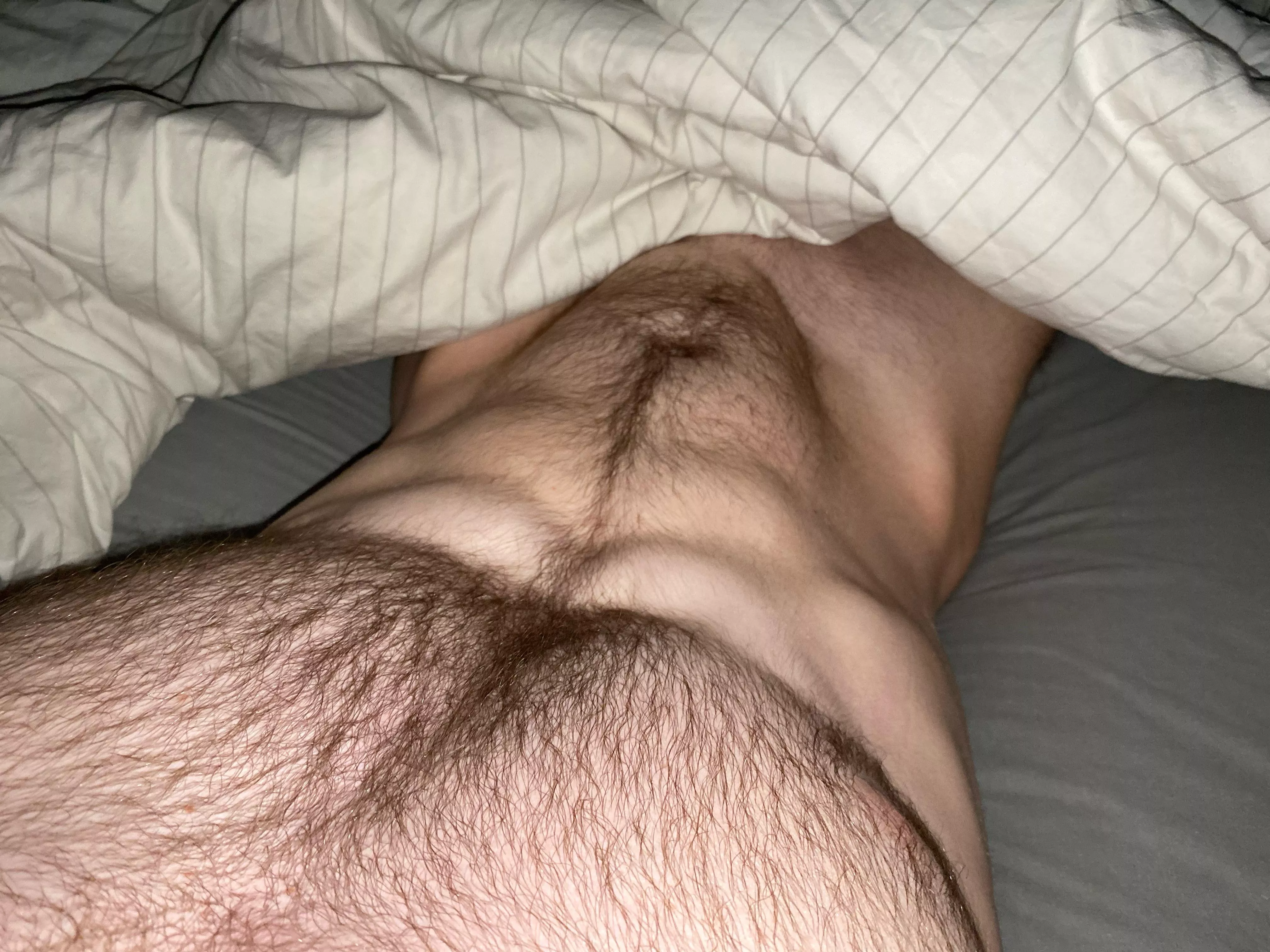 23 Aussie, need a smooth Femboy or twink to go live right now. SC cooperait