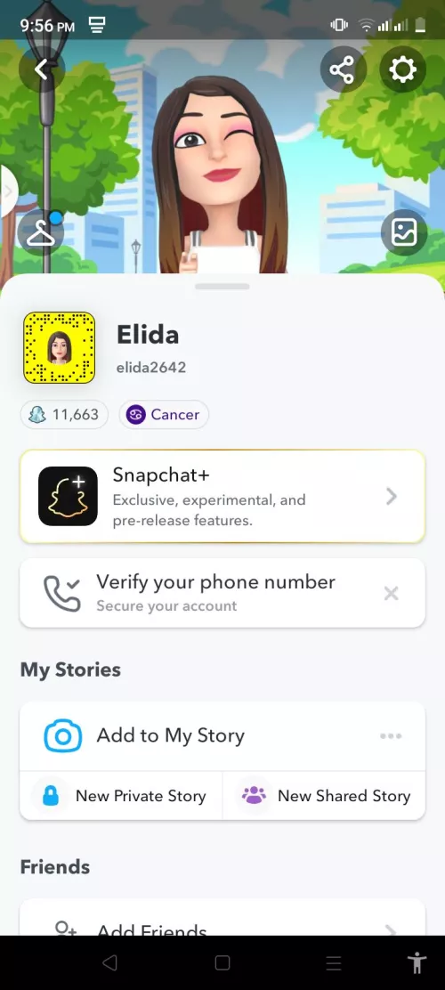 Add my snap
