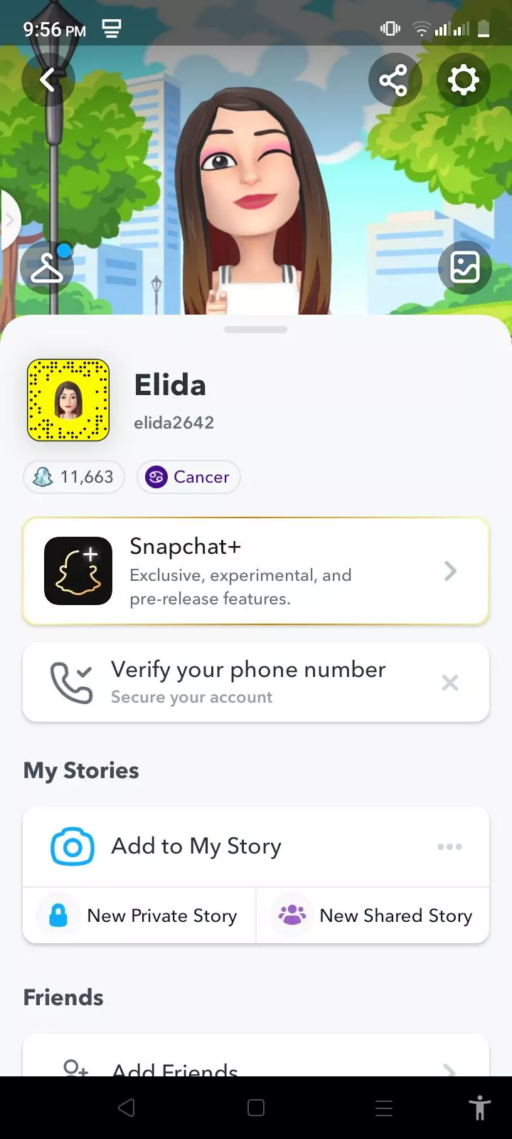 Add my snap