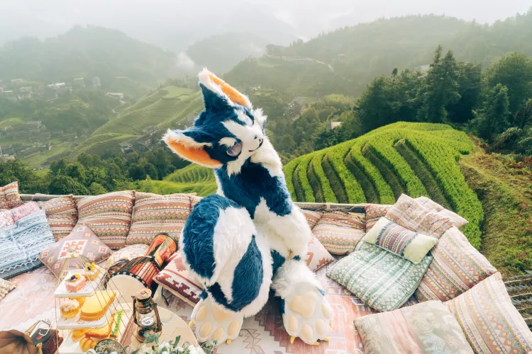 An epic tail of @youziyouziyou on Twitter