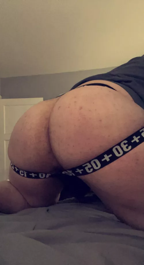 Bear Ass.