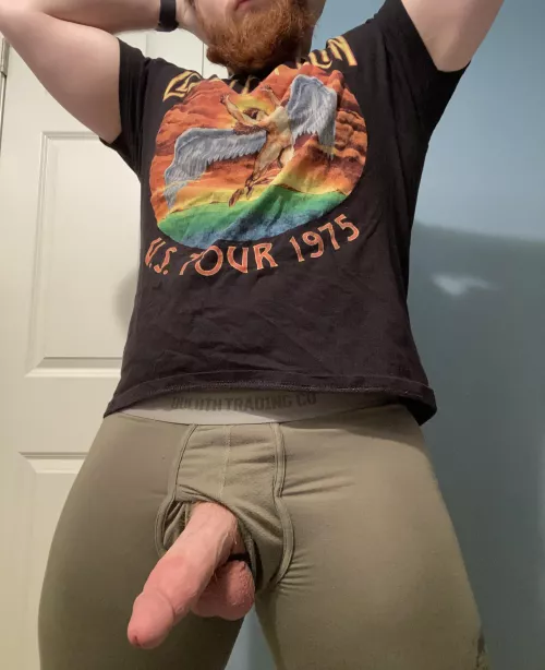 Big beards and big boners