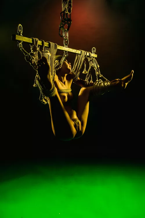Dinnerman [F] strung and slung. rope and photo by me.