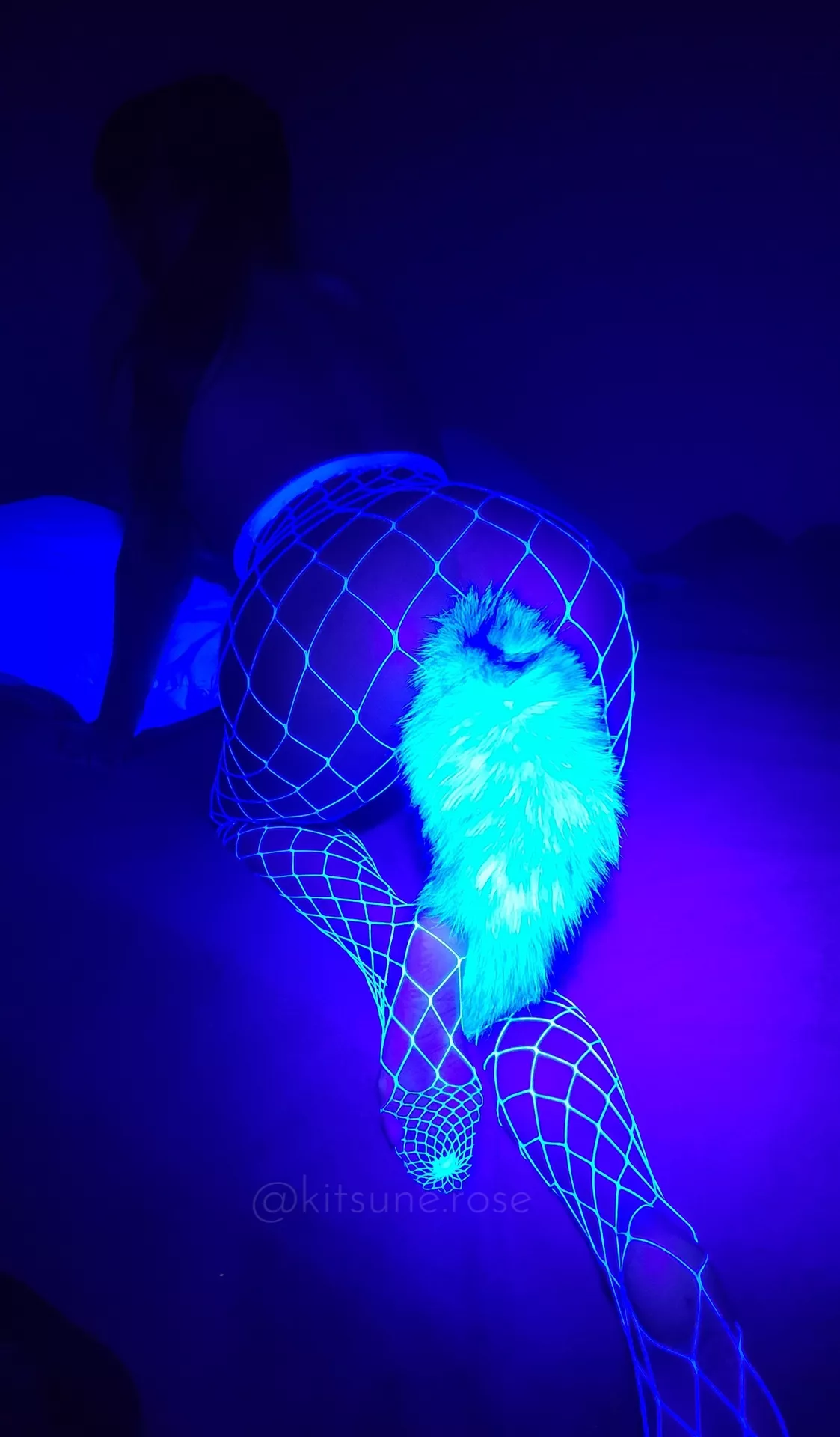 Fox Tail in Blacklight 🖤