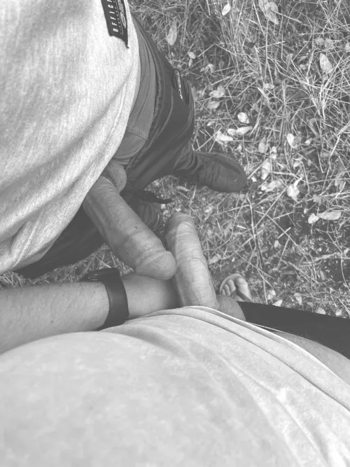 Gay cruising in the park