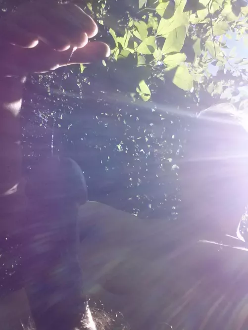 glistening drops of sunshine