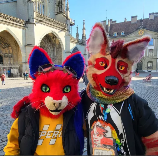 Greetings from the olden city of Bern, Switzerland from two handsome red animals 🔥