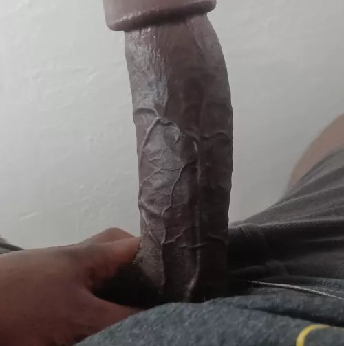 I need a tight, wet and warm place to drain this dick