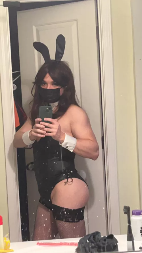 ig its rabbit season