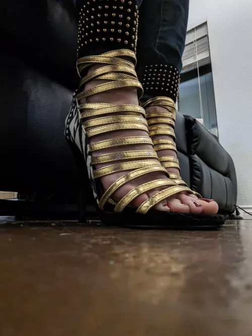 I've never loved a pair of shoes this much in my life