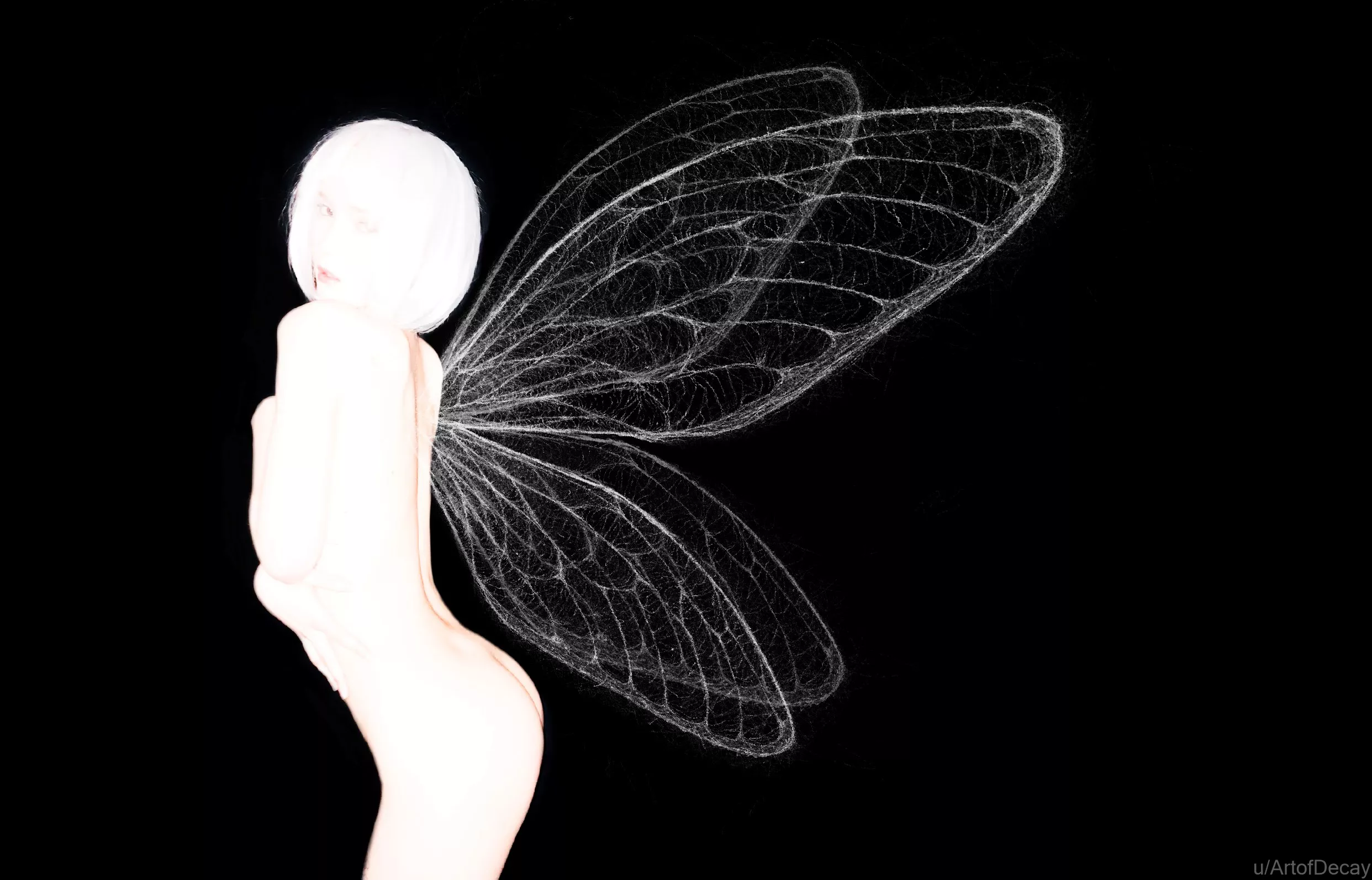 My drawing in the picture