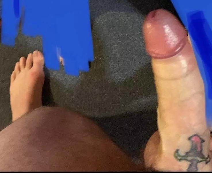 My tattooed tassie cock [M]