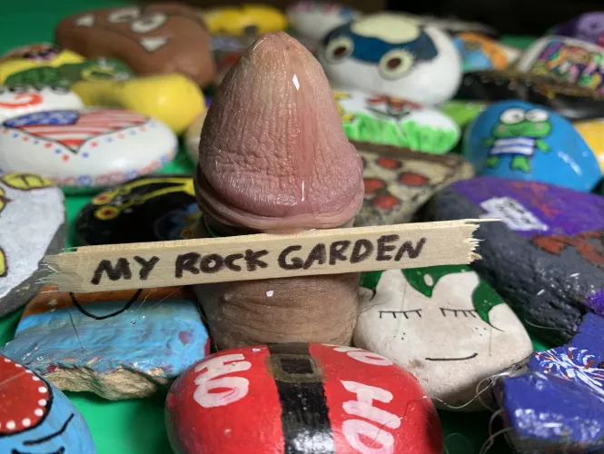 (oc) Rock Garden