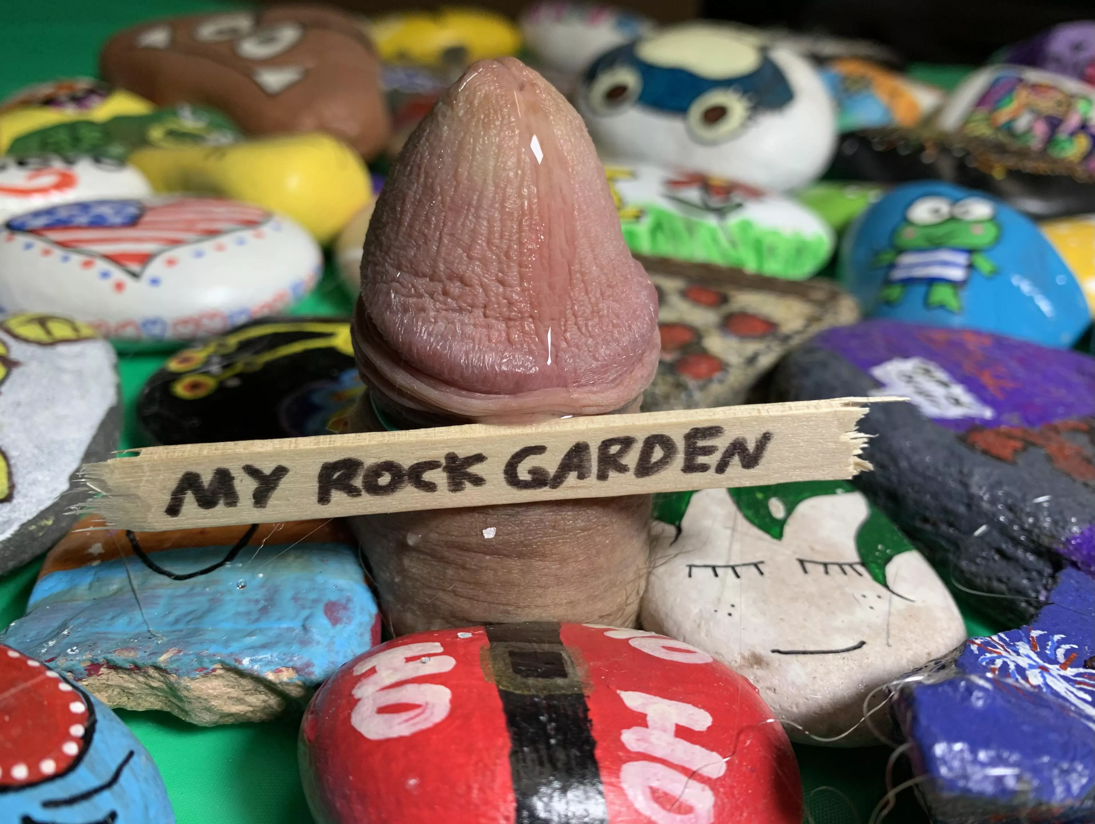 (oc) Rock Garden