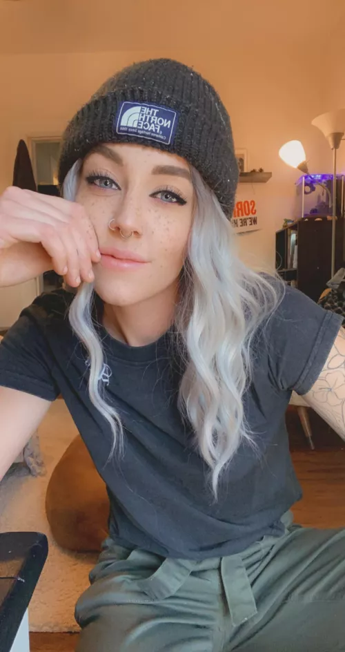 operation find a sugar dady