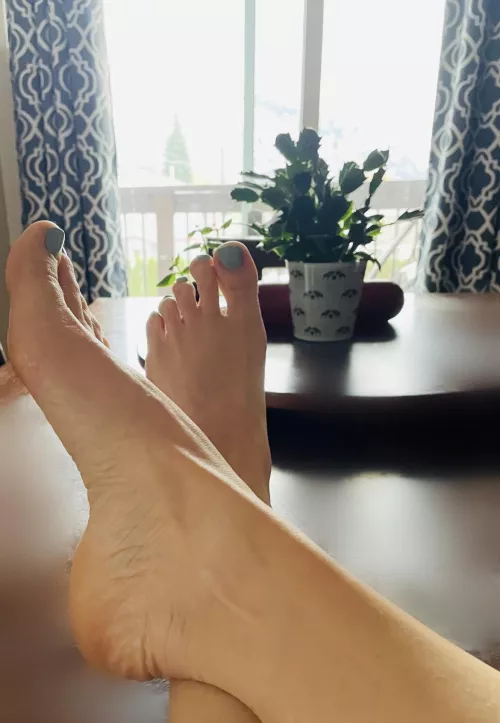 These could be your breakfast