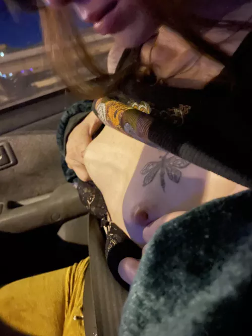 Traffic tits