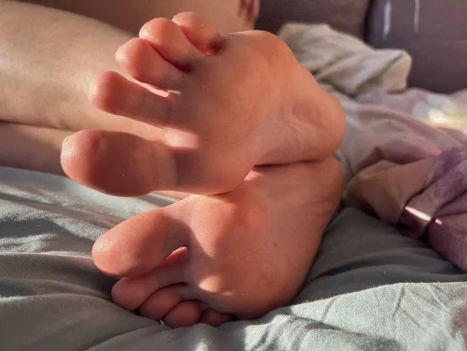 [TW] Can I make a nice surprise for you?