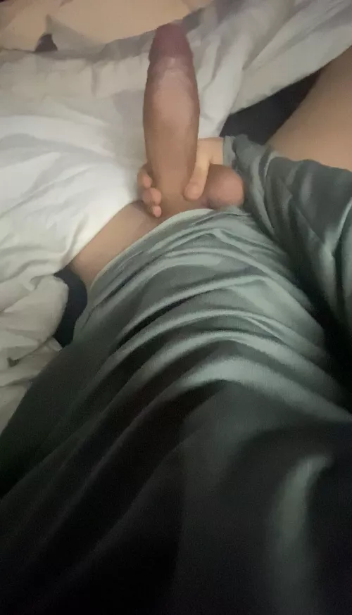 Well is it massive for barely legal? (18)