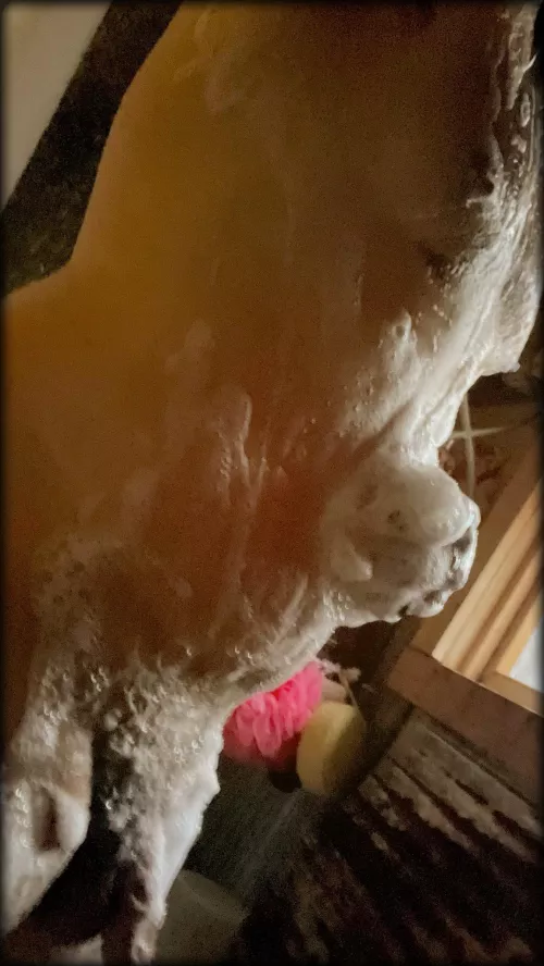 Wet n slippery = Fun times