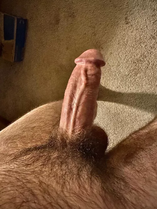 What do you think of my cut cock?
