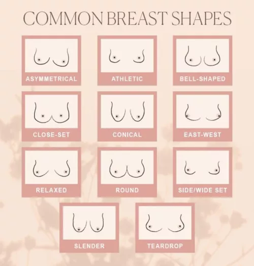What shape are your breasts or what shape are your wife’s breasts?