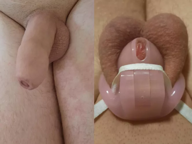 which one is better ?