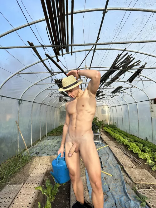 Would you land me a hand?