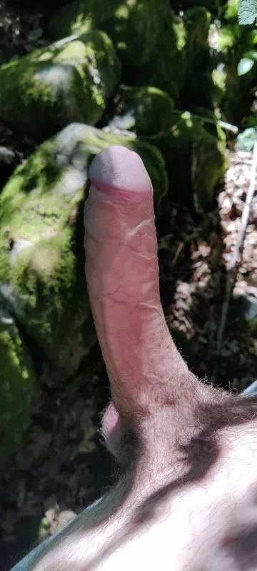 would you suck cock outside?