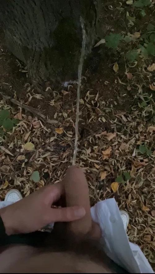 19 curious Comment what would you do to me 😈