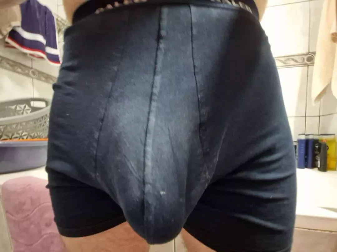 22yo massive bull here for compare