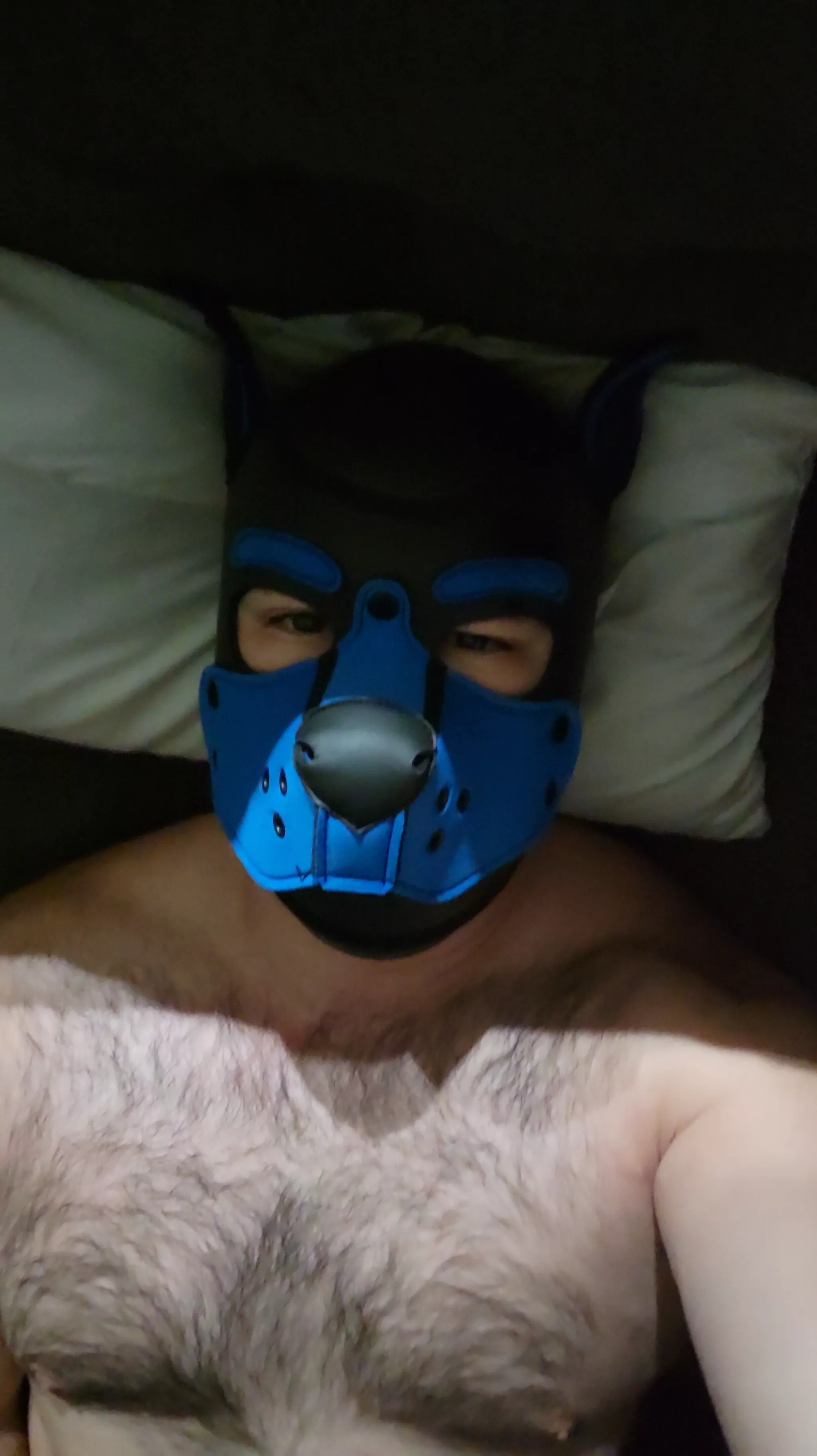 33 m US. Add pupdodger on snap and send asl and face