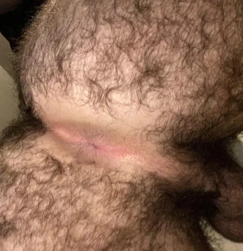 Anyone like hairy ass shaved pussy?