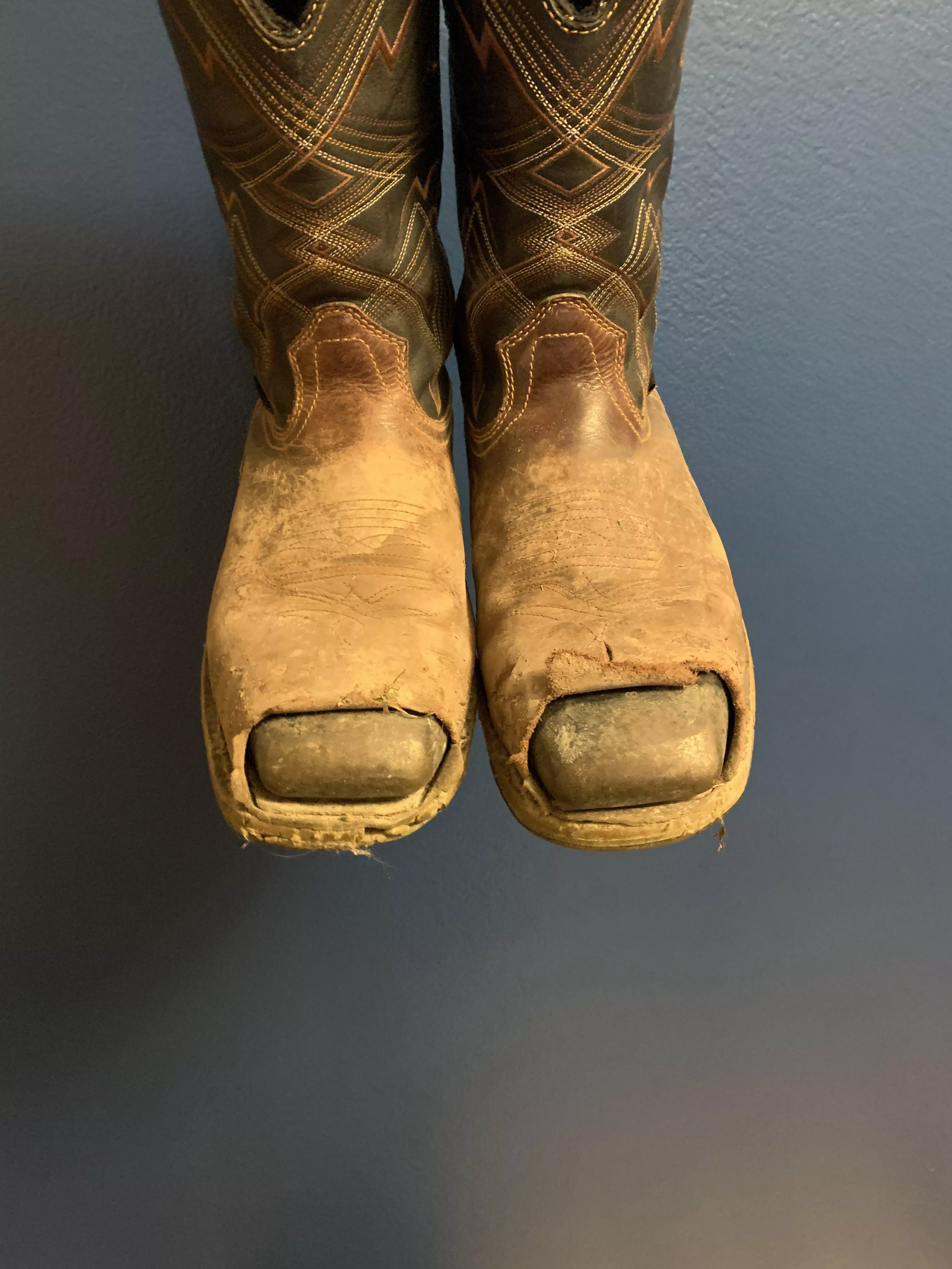 Are these salvageable?