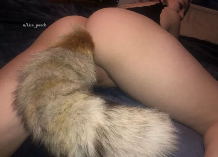 can I be your little pet