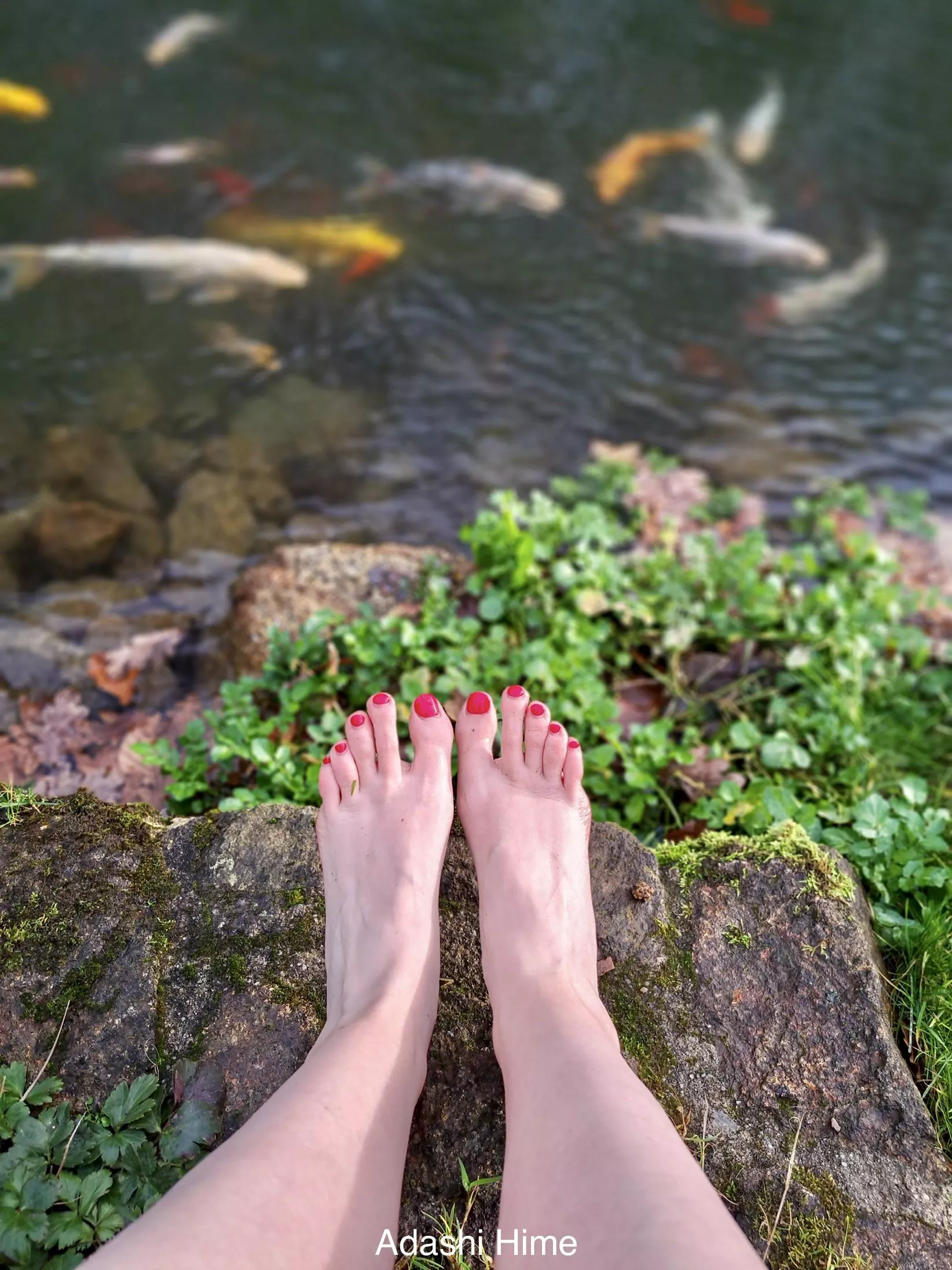 Do you enjoy the view?