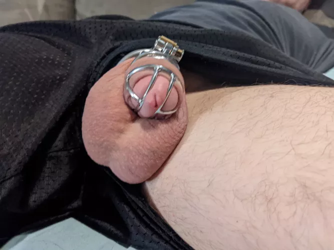 he always behaves so well when he's locked up.