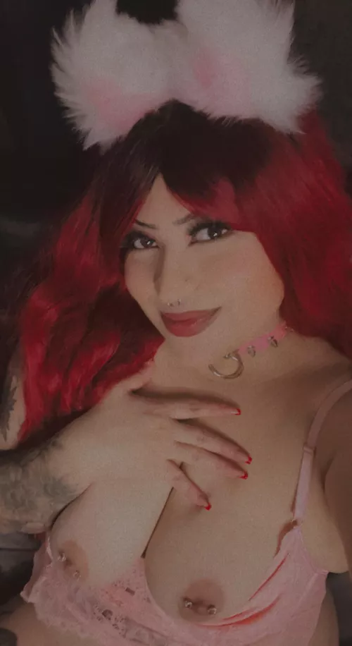 let me be your kitty