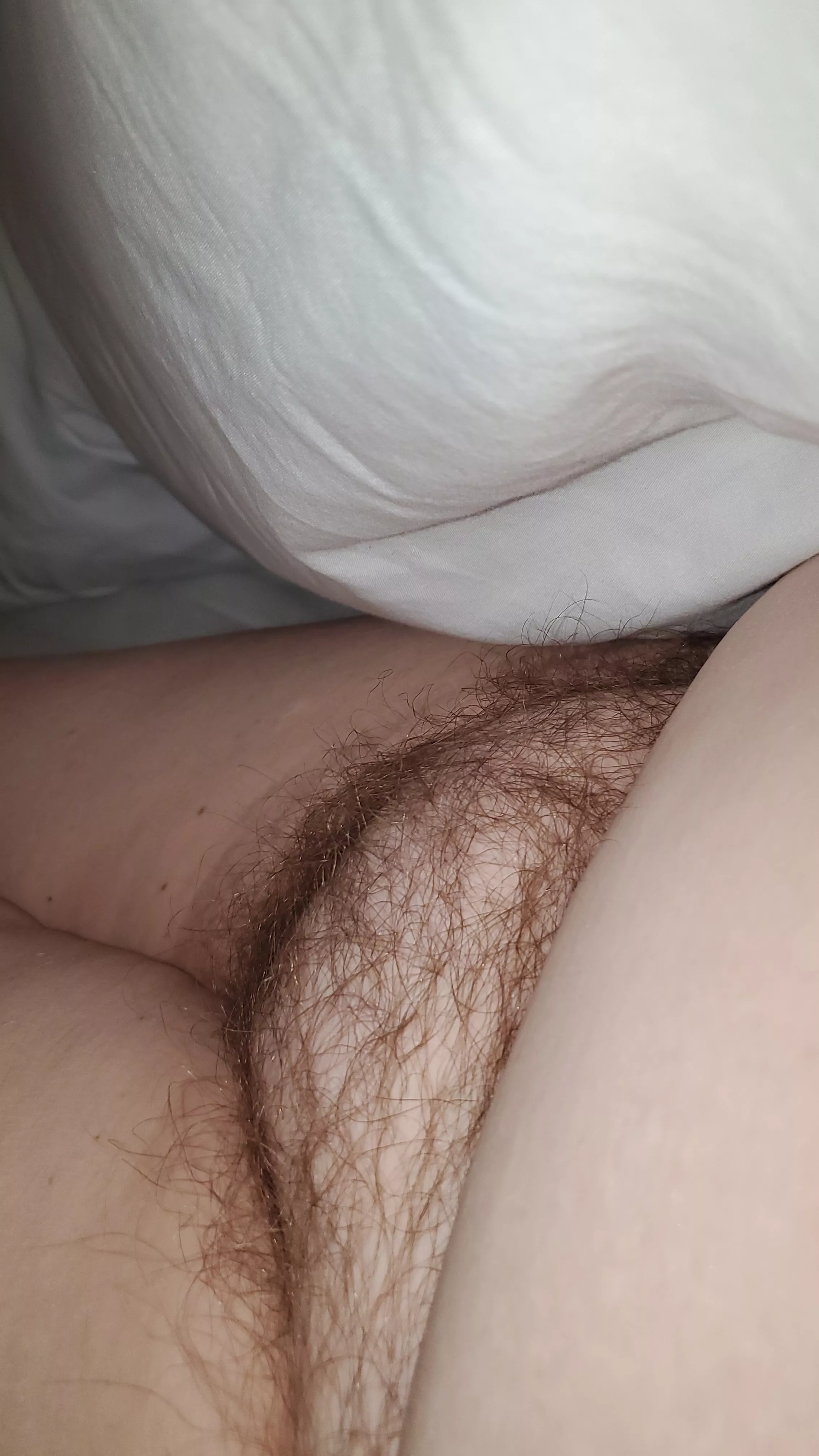 morning Bush