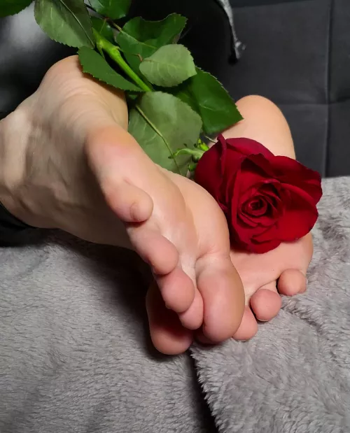 My feet need roses too 😊.
