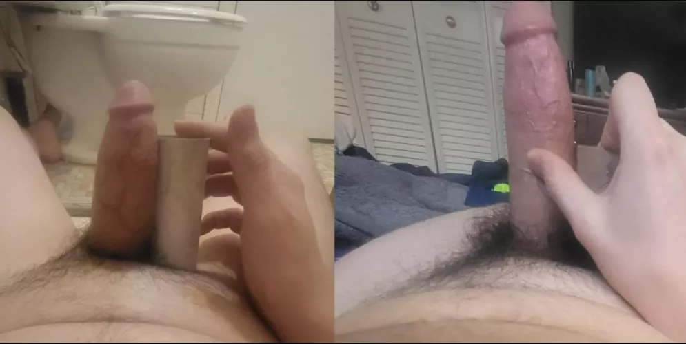 My soft and hard tp roll comparison