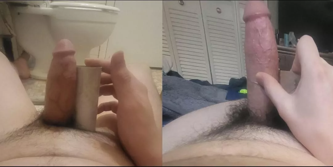 My soft and hard tp roll comparison