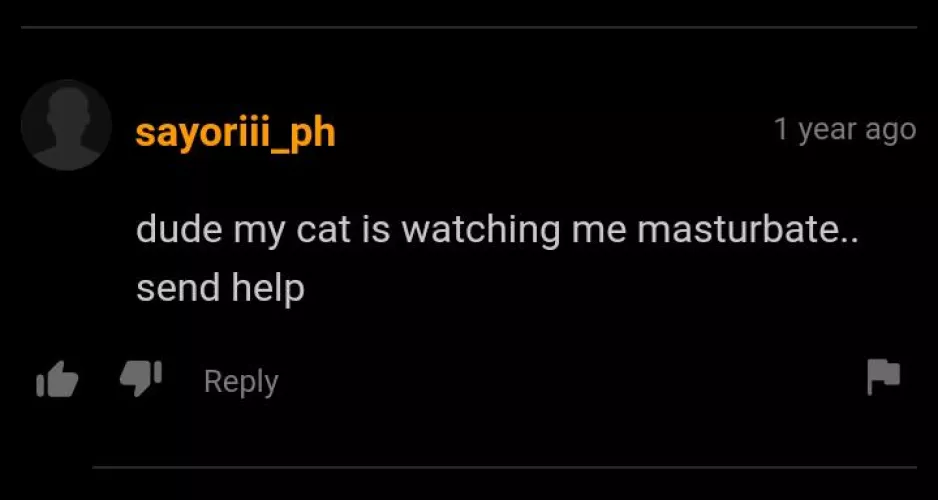 Poor cat